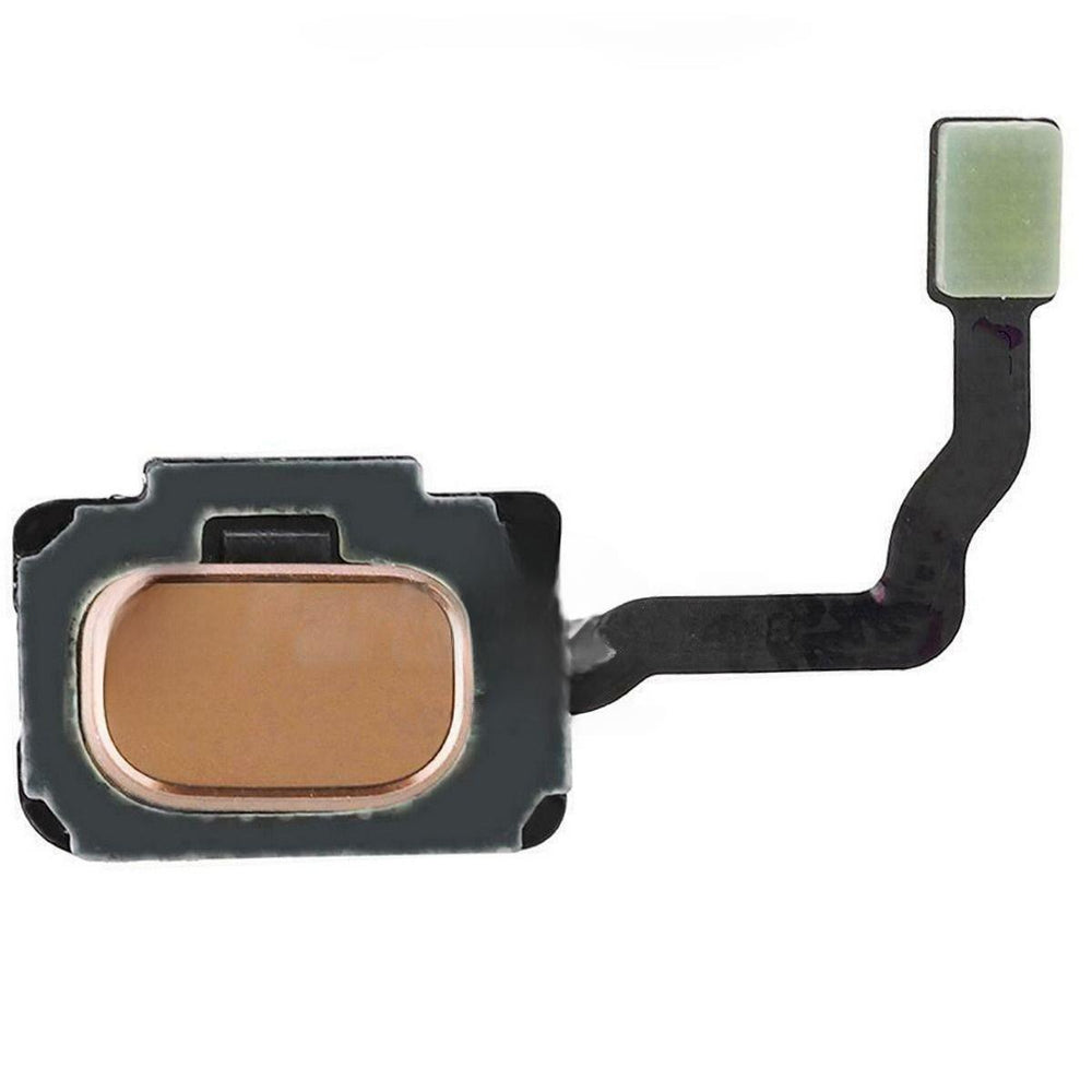 Samsung S9 Home Button Flex Module Gold