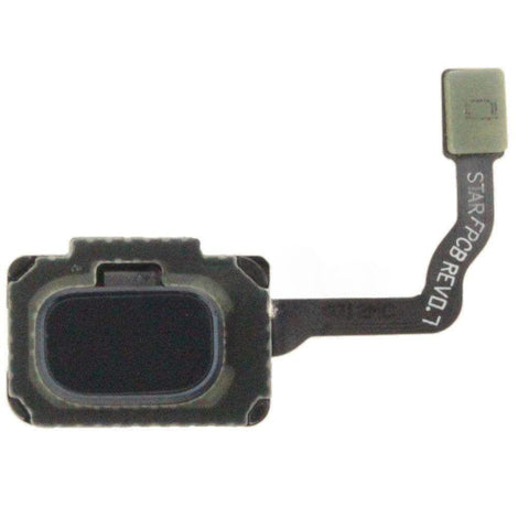 Samsung S9 Plus Home Button Flex Cable Blue