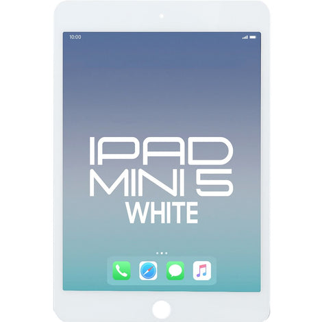 Brilliance Pro iPad Mini 5 LCD With Touch White